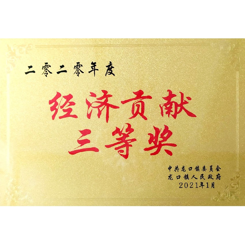 經(jīng)濟(jì)貢獻(xiàn)三等獎(jiǎng)